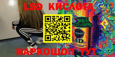 прущие грибы Свободный