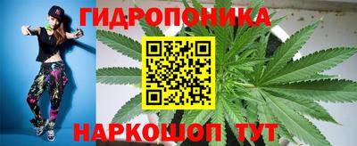 прущие грибы Свободный