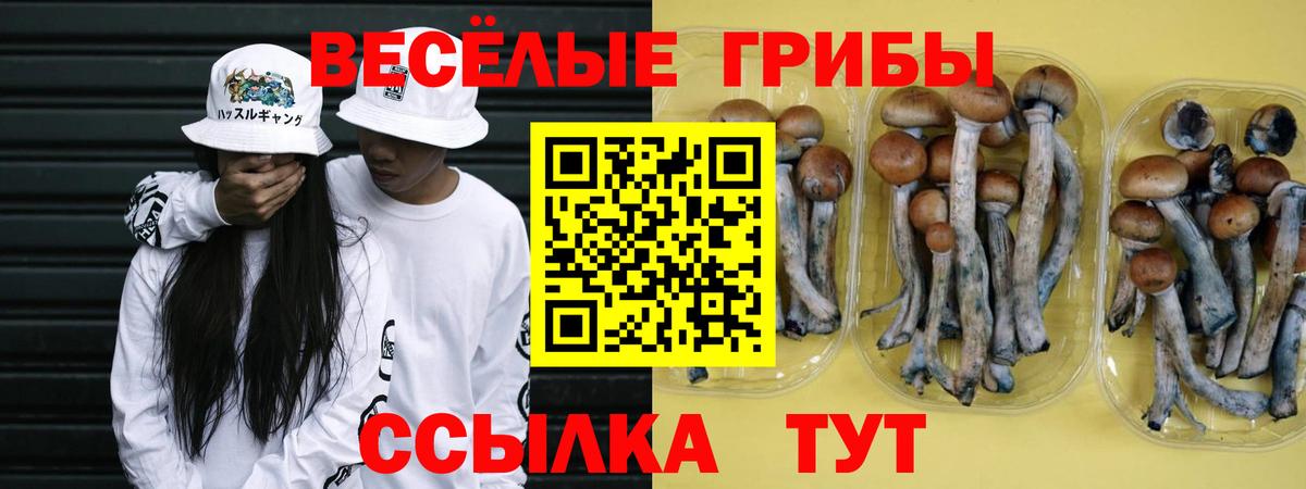 Псилоцибиновые грибы Cubensis  Вход с VPN  Ноябрьск 