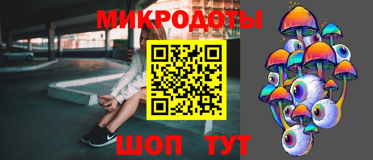 Галлюциногенные грибы Psilocybine cubensis Ноябрьск